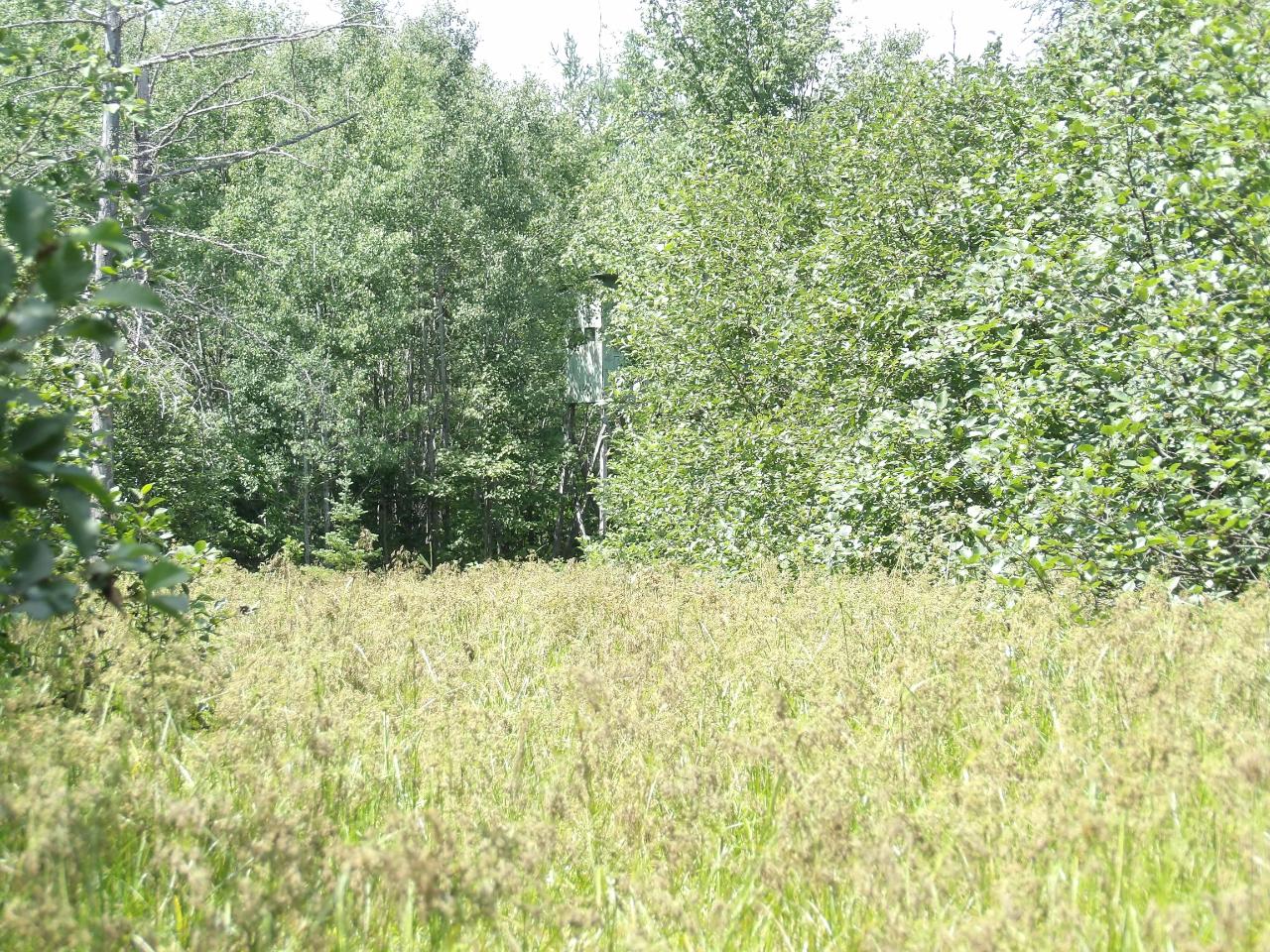 N6435 County Line Road Gleason, WI 54435 - Photo 15 of 20 Gallery Image 15