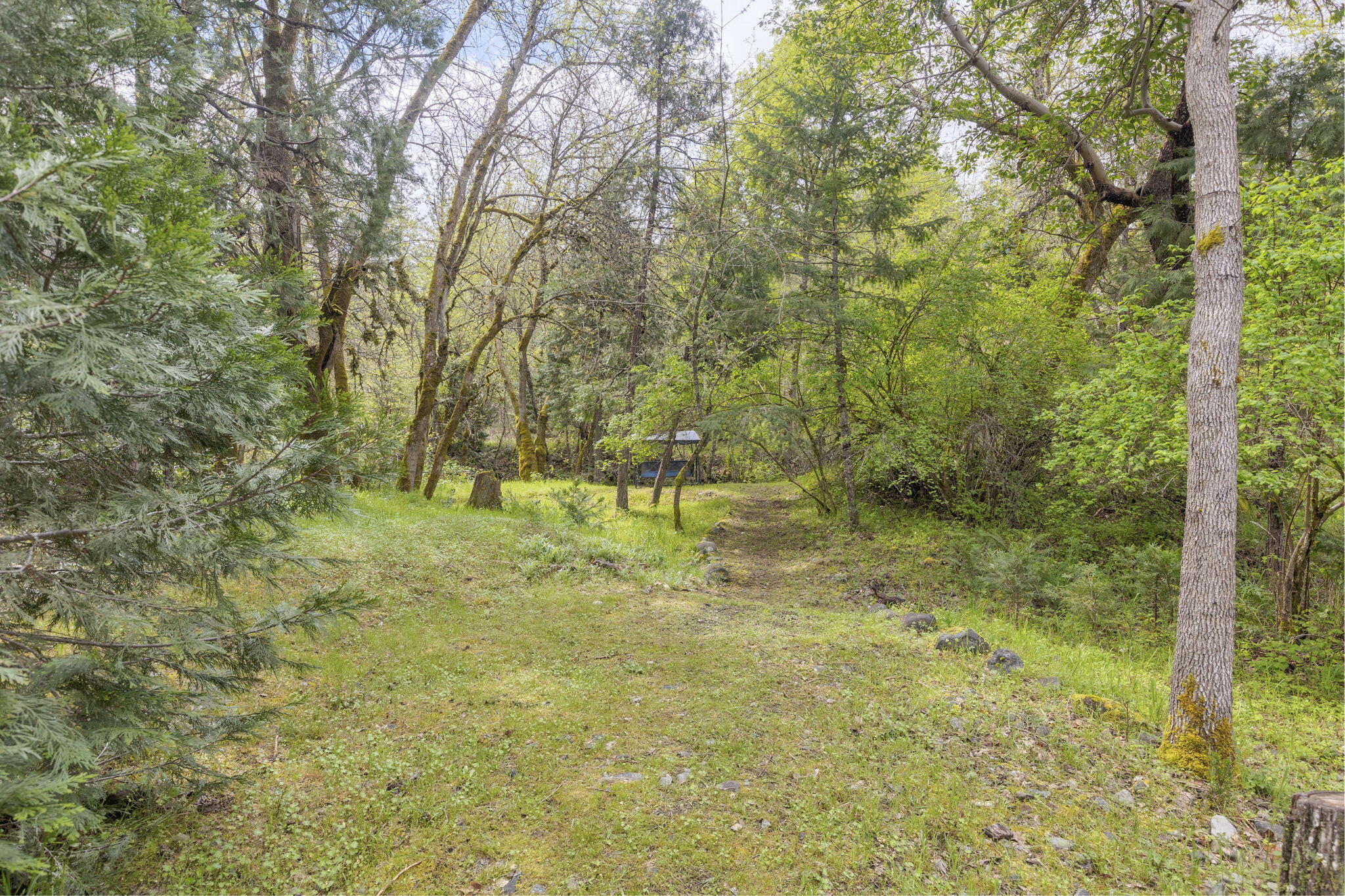 1625 Cedar Flat Road Williams, OR 97544 - Photo 39 of 58 37-web-or-mls-1625-cedar-flat-rd