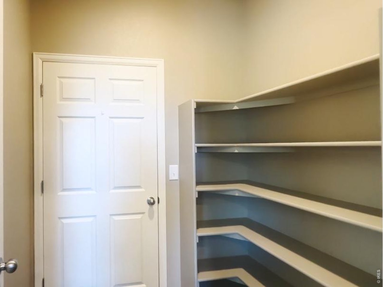1663 Highfield Drive Windsor, CO 80550 - Photo 6 of 15