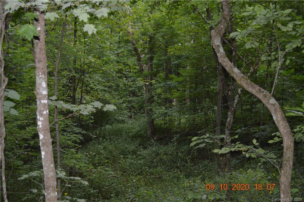 0 Summit Ridge Drive, Unit 31 Waynesville, NC 28786 - Photo 1 of 10 Gallery Image 1