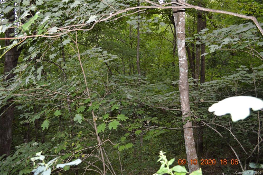 0 Summit Ridge Drive, Unit 31 Waynesville, NC 28786 - Photo 4 of 10 Gallery Image 4