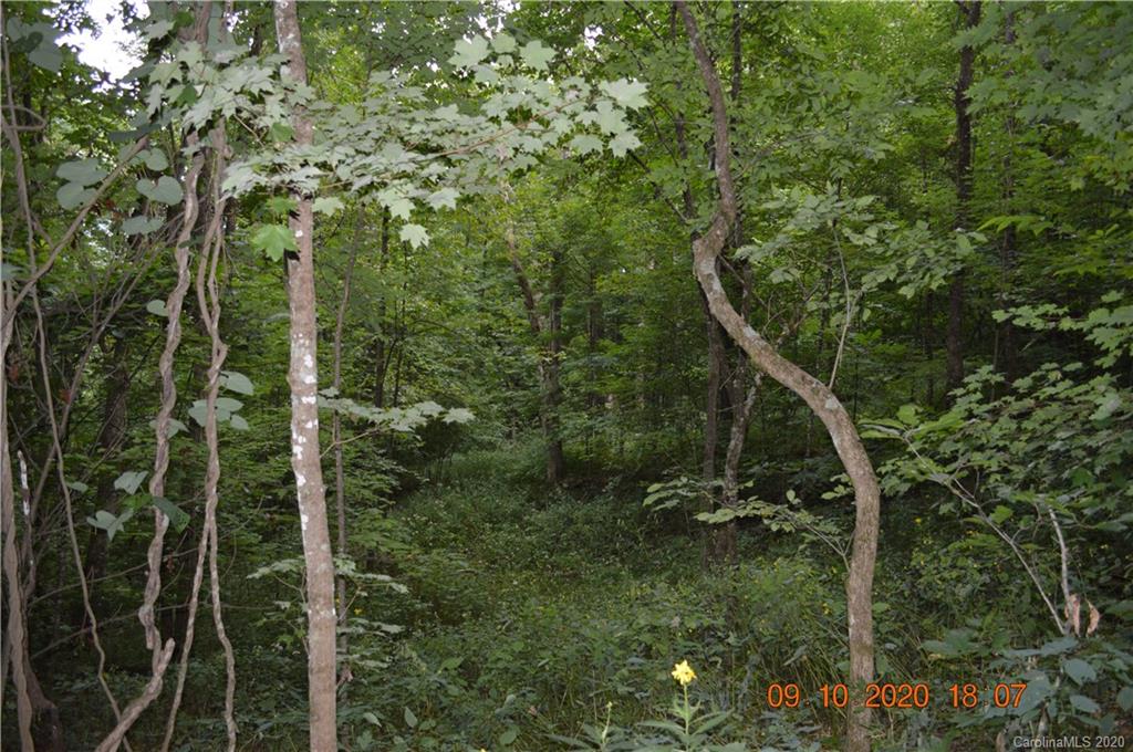 0 Summit Ridge Drive, Unit 31 Waynesville, NC 28786 - Photo 5 of 10 Gallery Image 5