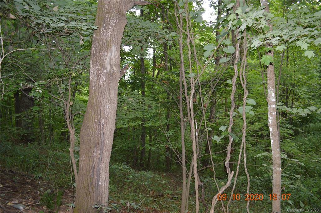 0 Summit Ridge Drive, Unit 31 Waynesville, NC 28786 - Photo 6 of 10 Gallery Image 6