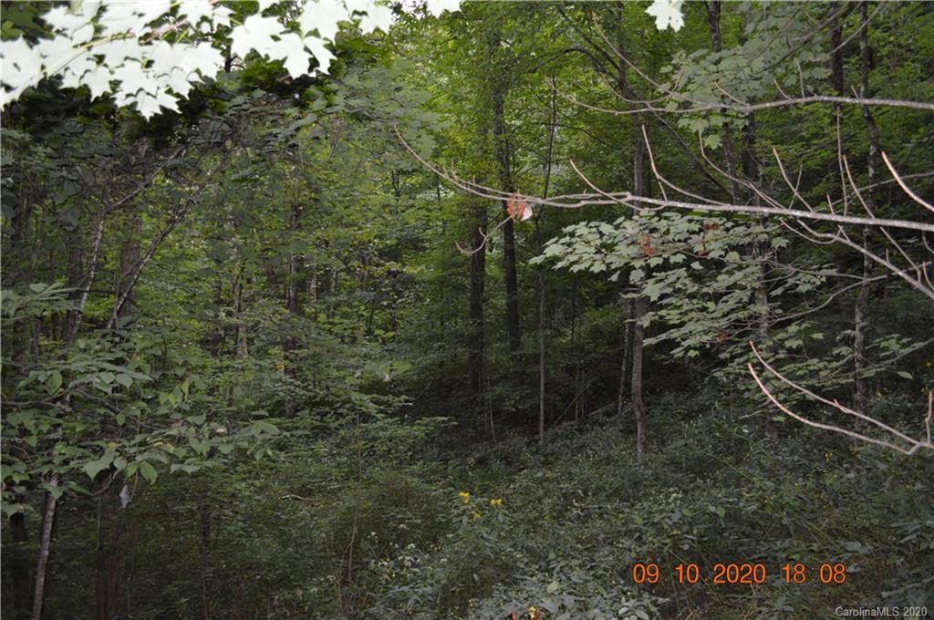 0 Summit Ridge Drive, Unit 31 Waynesville, NC 28786 - Photo 7 of 10 Gallery Image 7