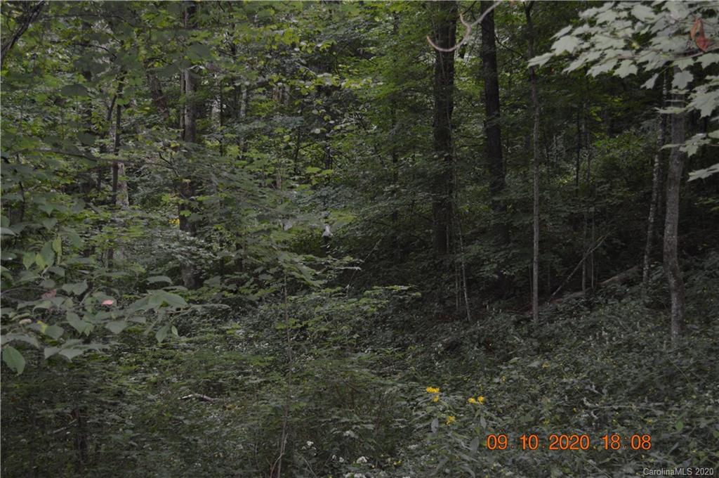0 Summit Ridge Drive, Unit 31 Waynesville, NC 28786 - Photo 8 of 10 Gallery Image 8