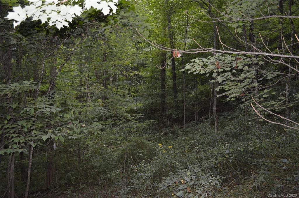 0 Summit Ridge Drive, Unit 31 Waynesville, NC 28786 - Photo 9 of 10 Gallery Image 9