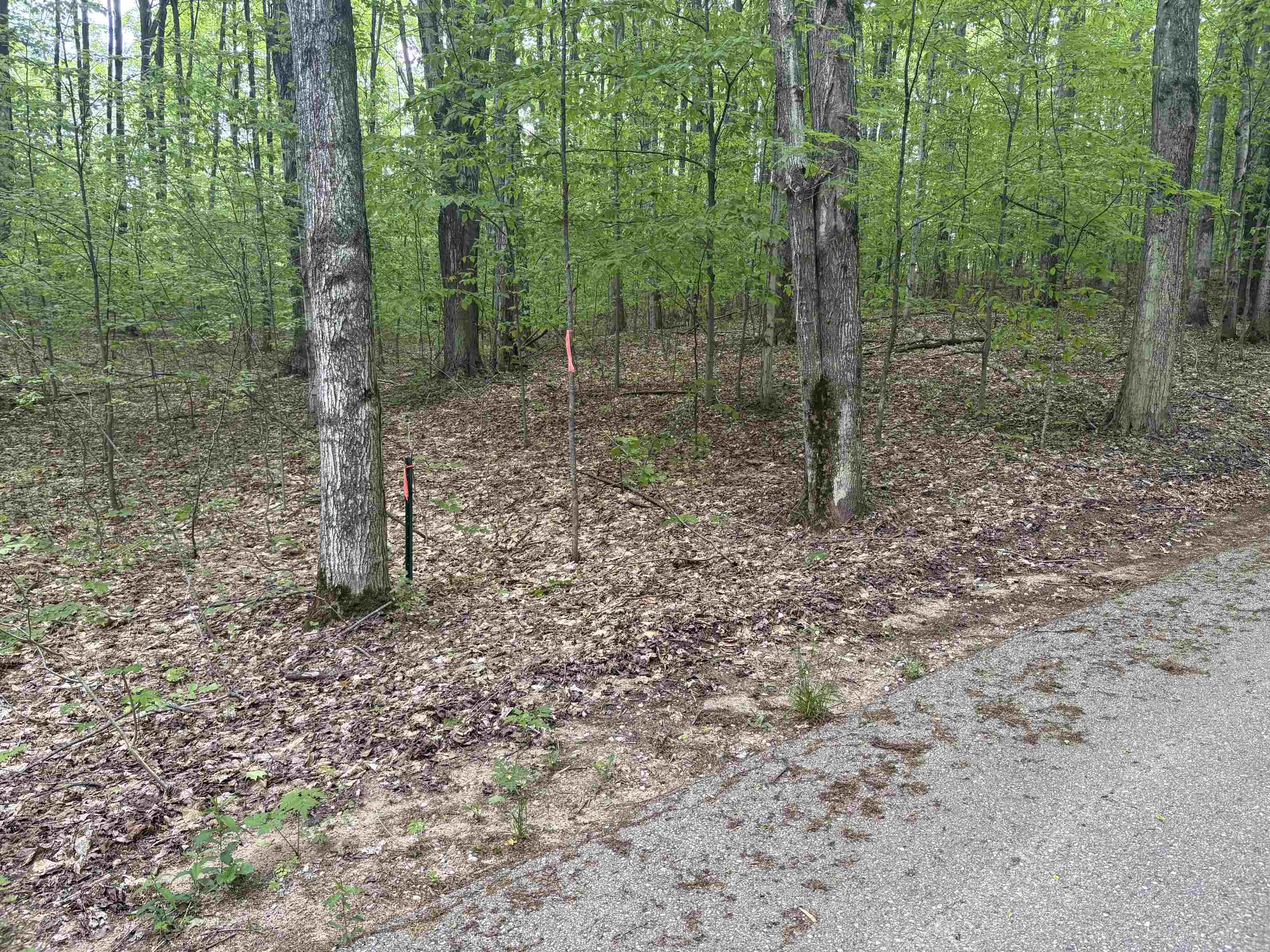13631 Beaver Pond Road Empire, MI 49630 - Photo 45 of 55