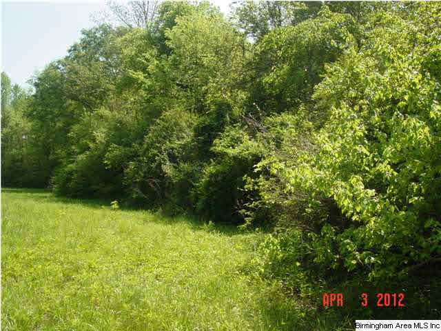 Mcintosh Road, Unit 4 Oxford, AL 36203 - Photo 1 of 24 Gallery Image 1