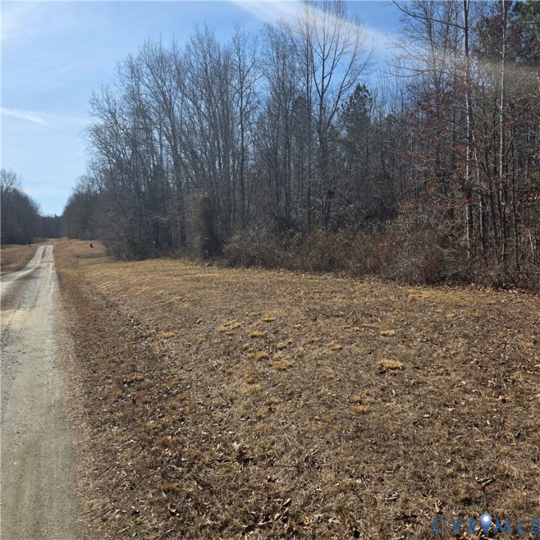 0 Ancient Acres Road Beaverdam, VA 23015 - Photo 5 of 15 a view of a yard