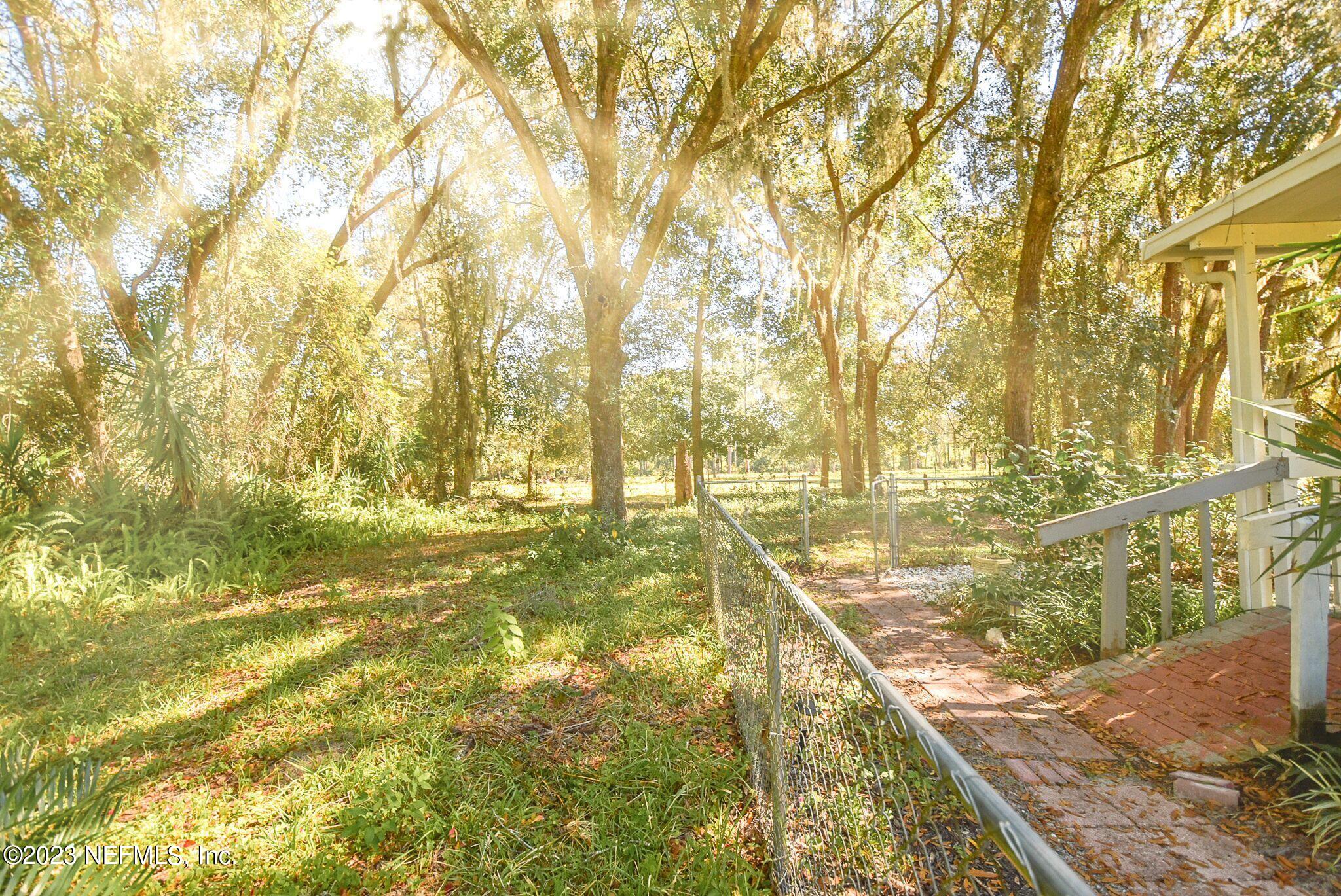 136 Lawrence Lane Georgetown, FL 32139 - Photo 27 of 33 a view of yard with large trees