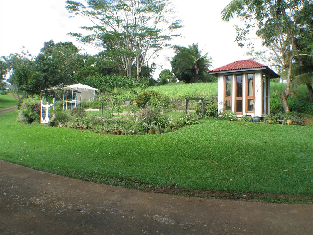 4318 Punee Road Koloa, HI 96756 - Photo 17 of 23 a front view of a house with a yard and trees