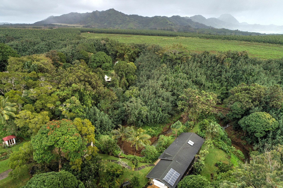 4318 Punee Road Koloa, HI 96756 - Photo 23 of 23 a view of a city and mountains