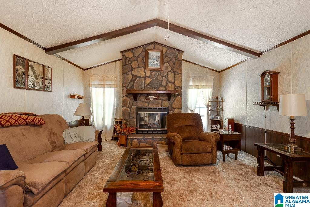 4485 Nisbet Lake Road Jacksonville, AL 36265 - Photo 3 of 34