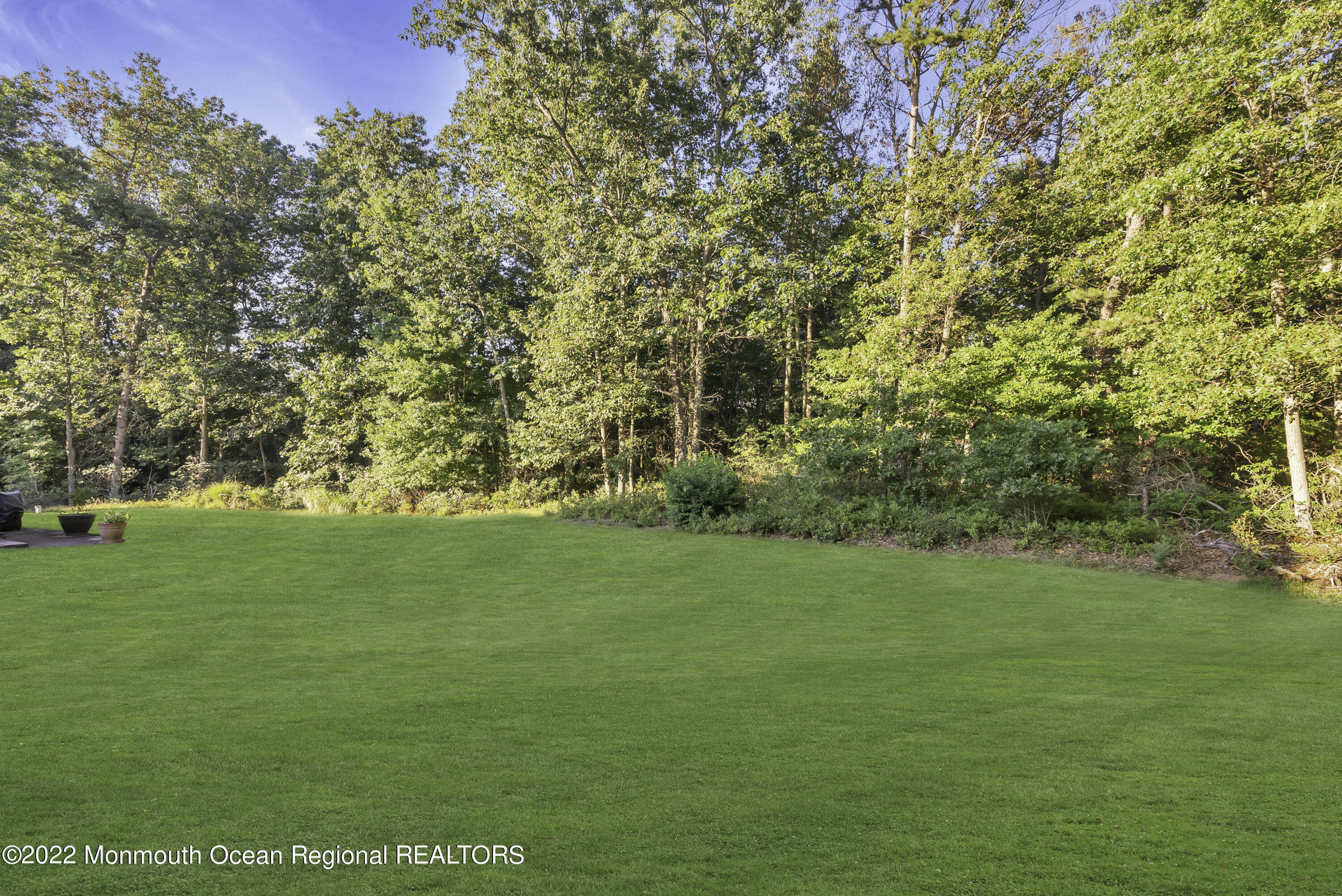 19 Conor Road Jackson, NJ 08527 - Photo 54 of 71 059_mjb08596-1