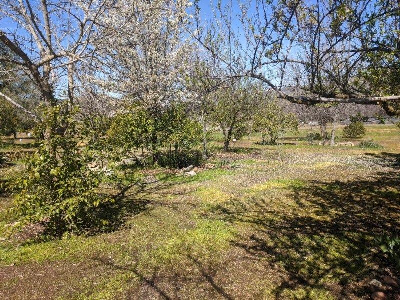 29322 Fallen Oak Road Tollhouse, CA 93667 - Photo 15 of 34 Gallery Image 15