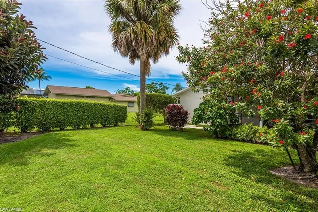 a view of a garden with a tree