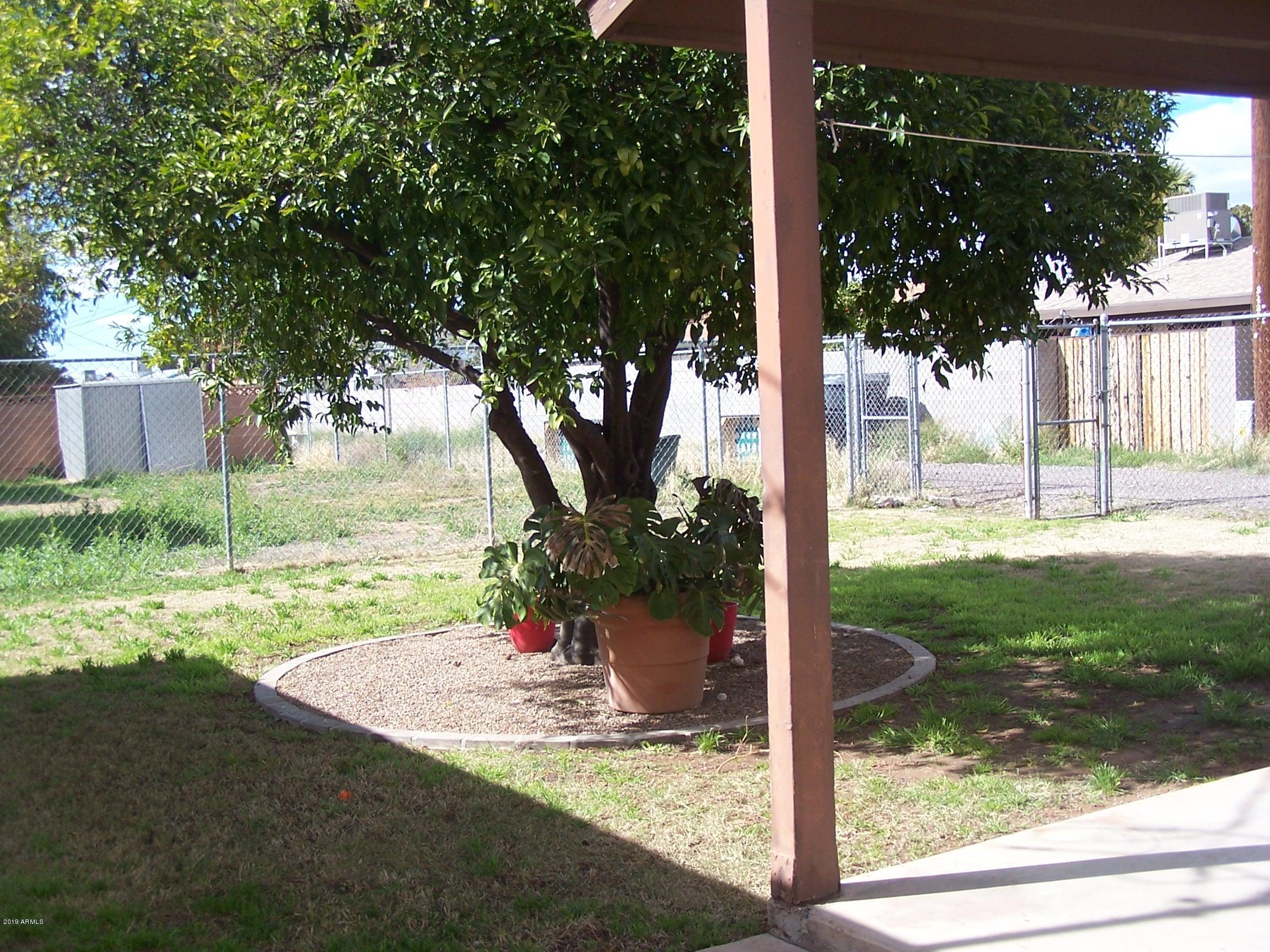 3446 East Coronado Road Phoenix, AZ 85008 - Photo 21 of 27 Backyard
