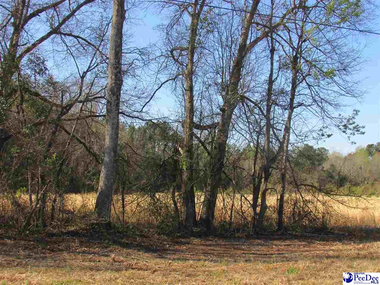 Tbd East Ashby Road Florence, SC 29506 - Photo 1 of 1 Gallery Image 1