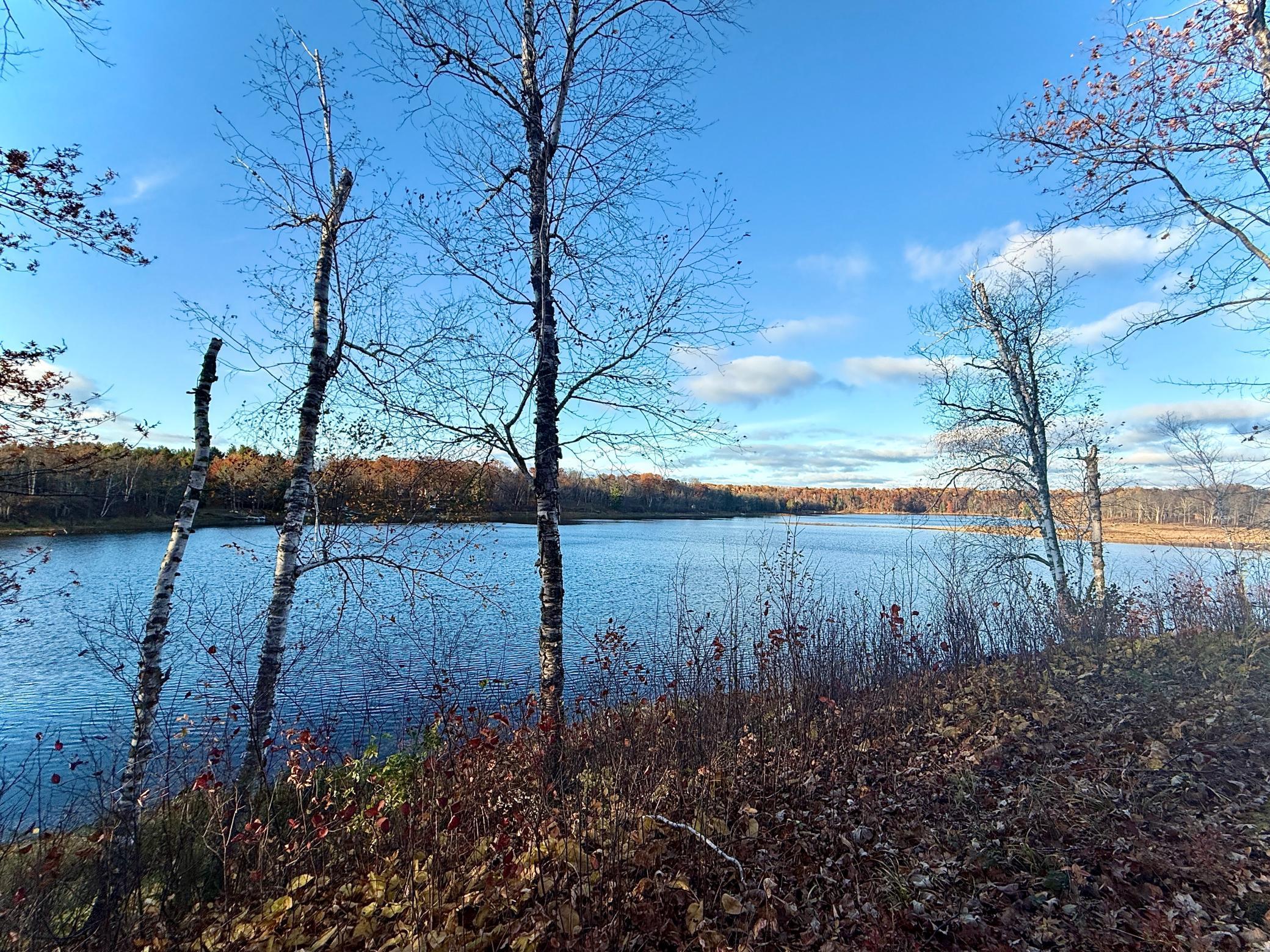 Tbd Tbd Turtle Lane Northwest Walker, MN 56484 - Photo 11 of 16