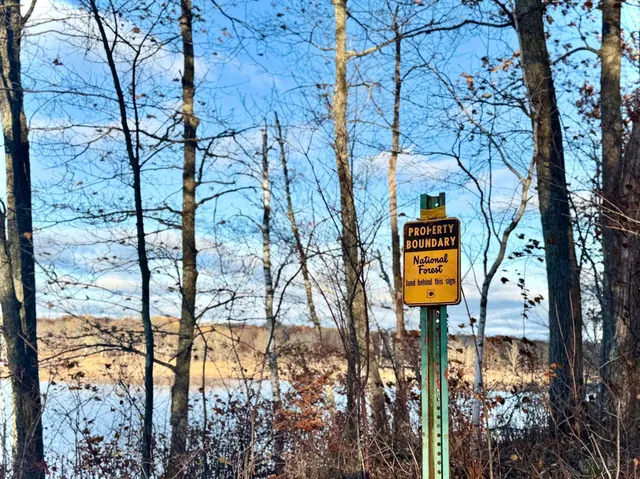 $115,000 | Tbd Tbd Turtle Lane Northwest, Walker, MN 56484