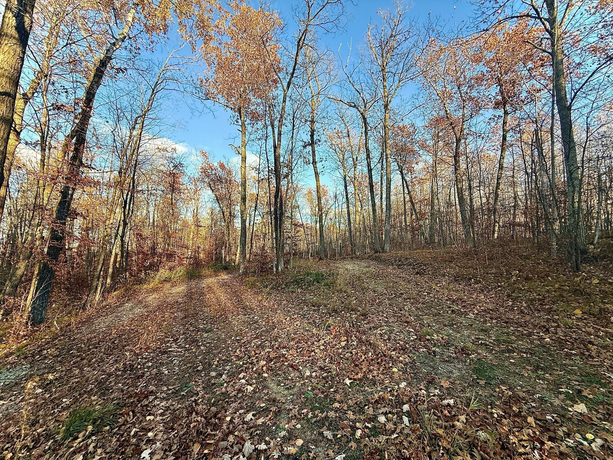 Tbd Tbd Turtle Lane Northwest Walker, MN 56484 - Photo 4 of 16
