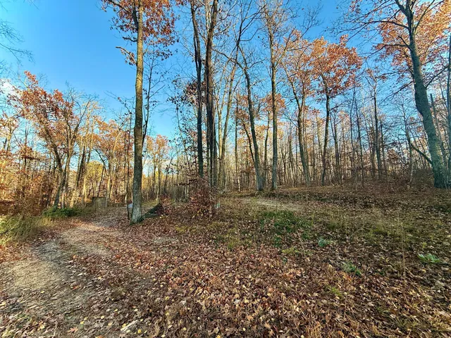 $115,000 | Tbd Tbd Turtle Lane Northwest, Walker, MN 56484