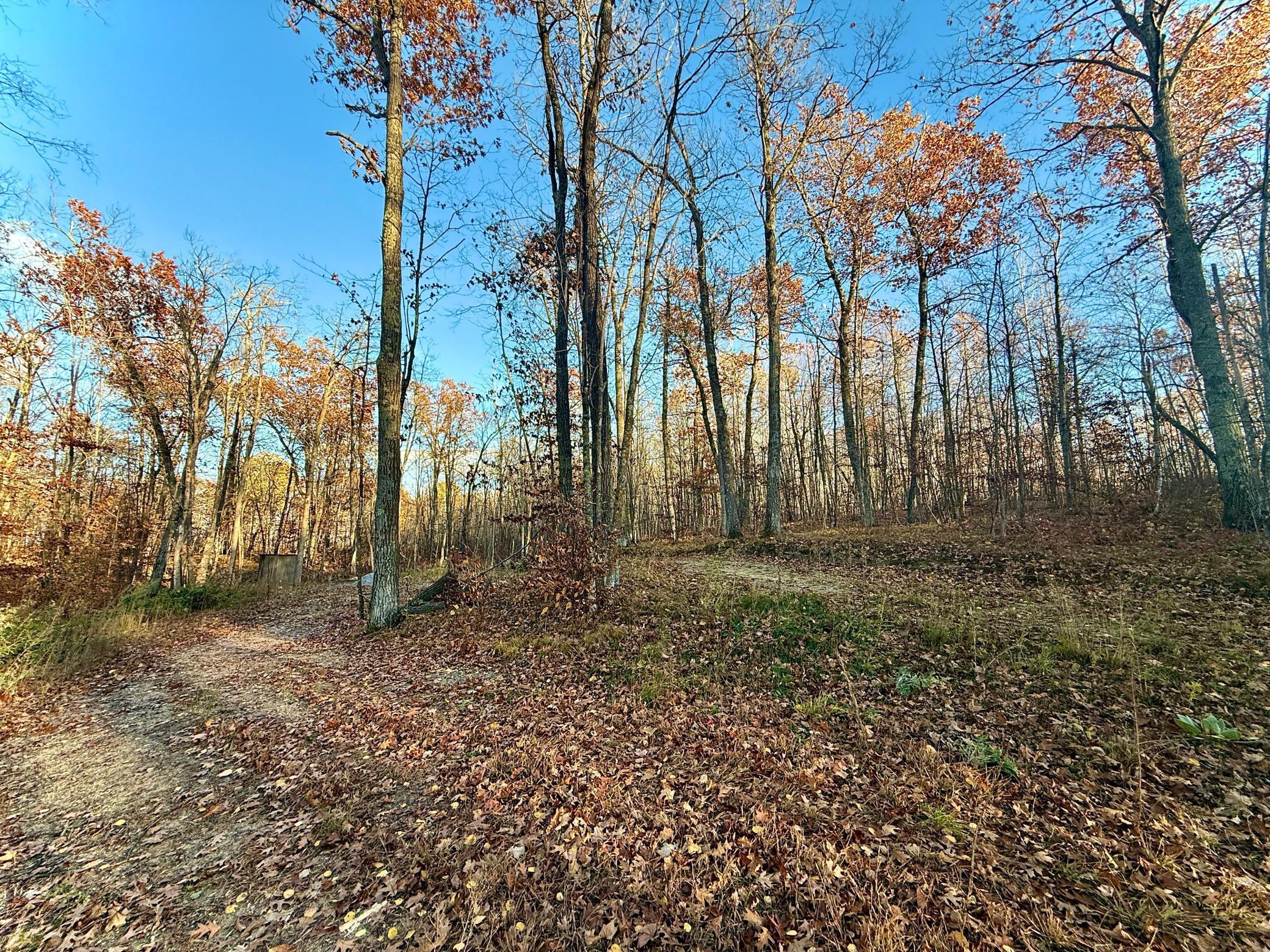 Tbd Tbd Turtle Lane Northwest Walker, MN 56484 - Photo 5 of 16