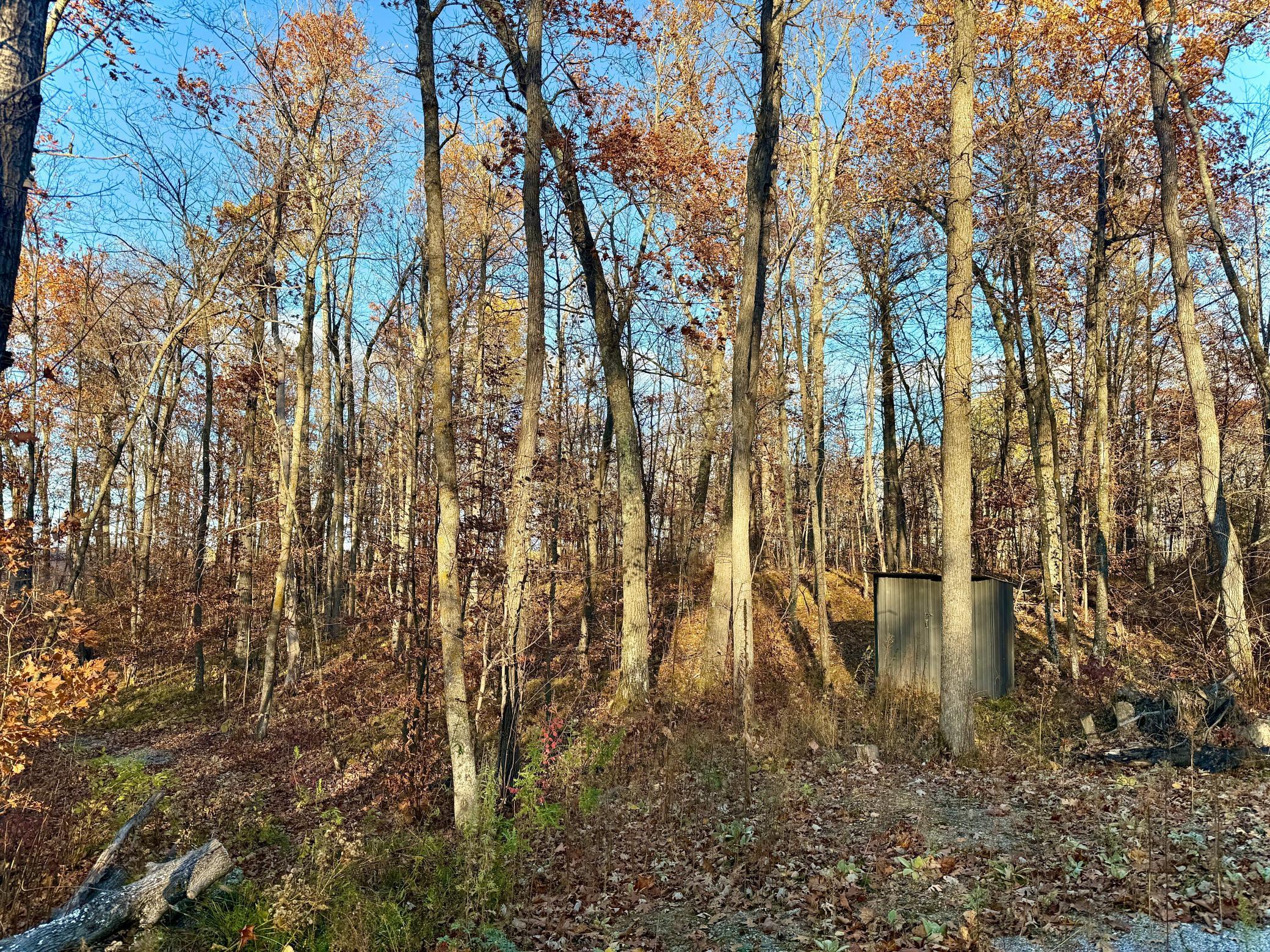 Tbd Tbd Turtle Lane Northwest Walker, MN 56484 - Photo 6 of 16