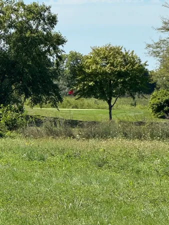 a view of a garden