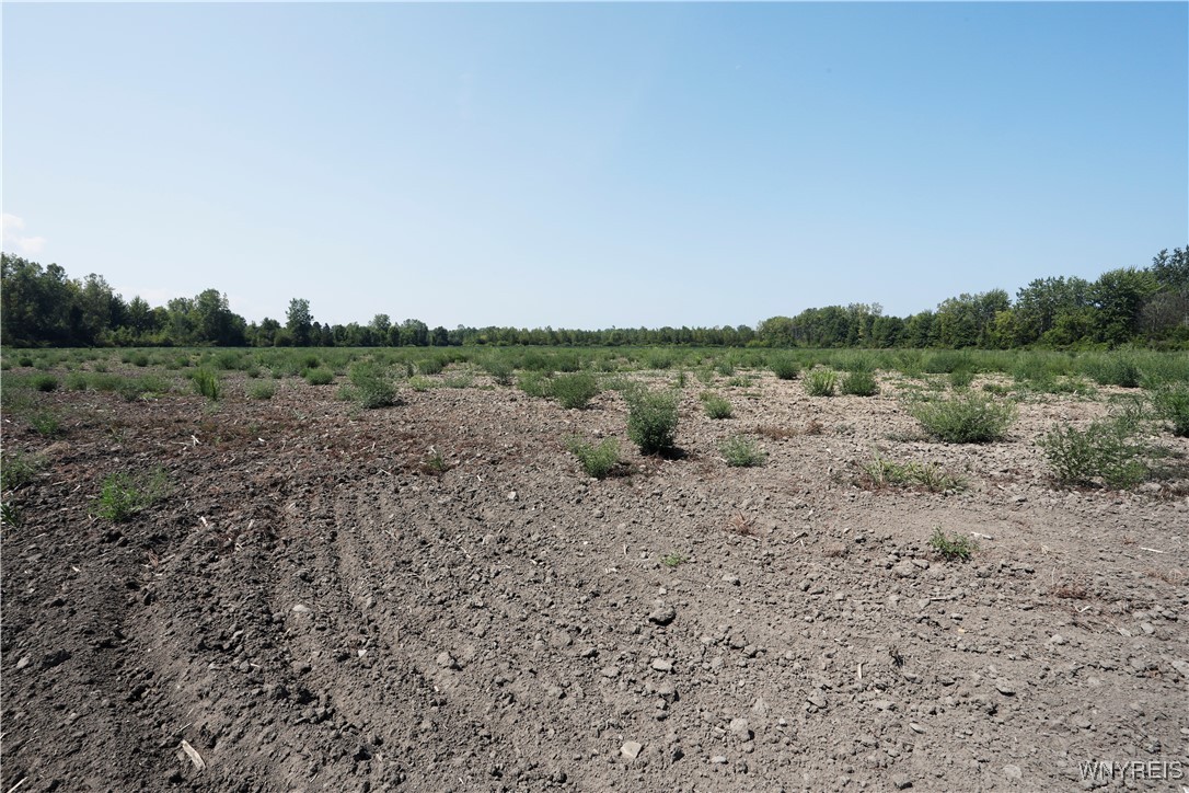 Wilson Cambria Road Wilson, NY 14172 - Photo 12 of 28 North entrance from 425