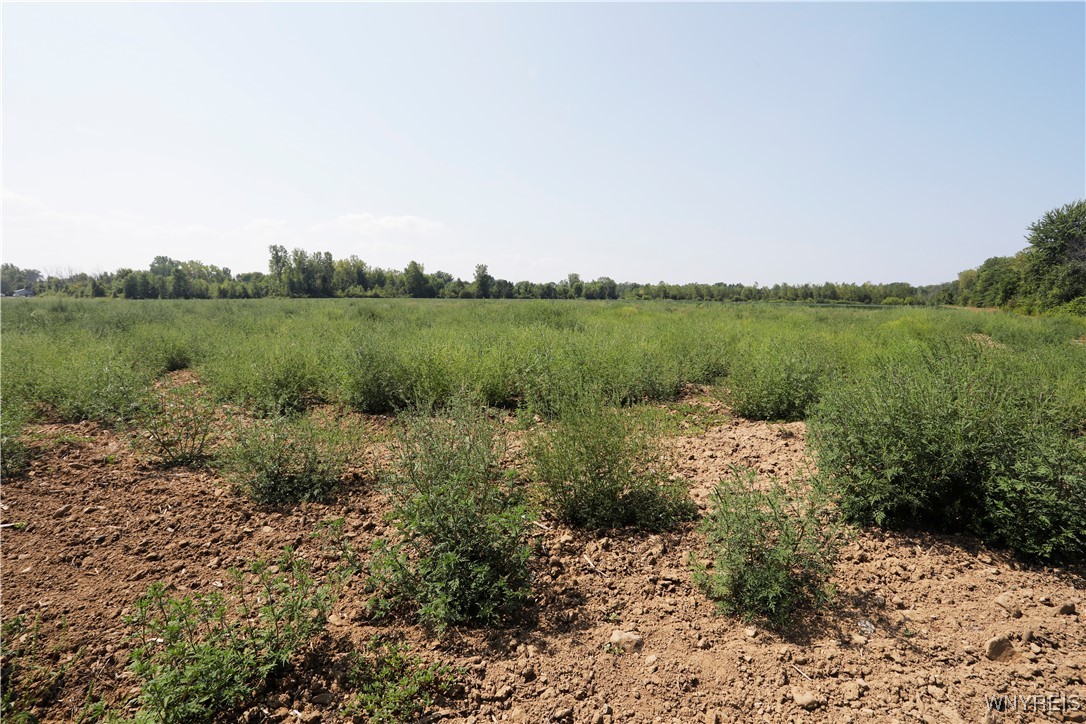 Wilson Cambria Road Wilson, NY 14172 - Photo 13 of 28