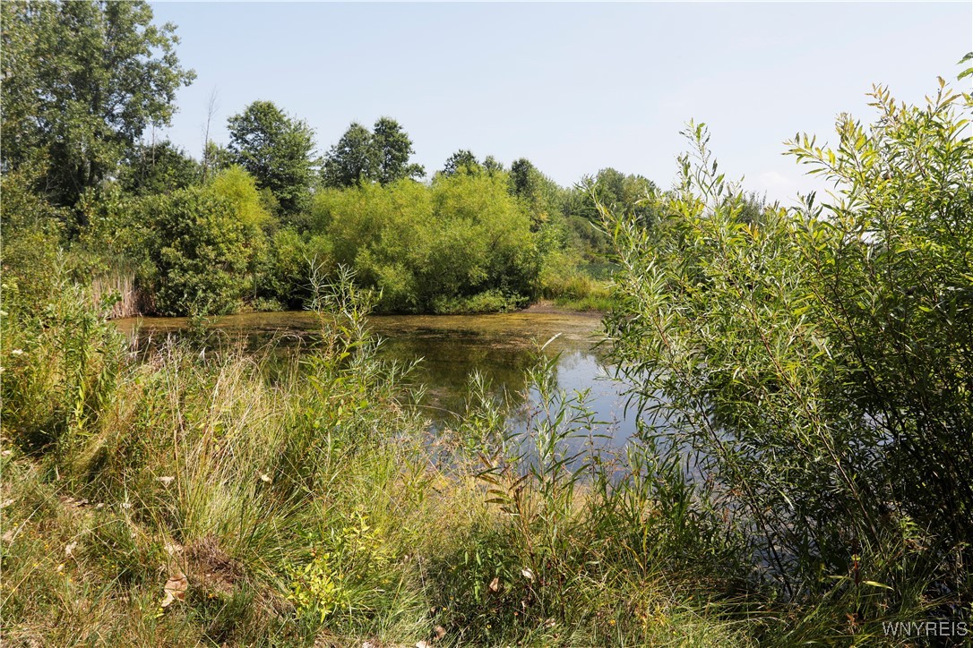 Wilson Cambria Road Wilson, NY 14172 - Photo 18 of 28 Pond