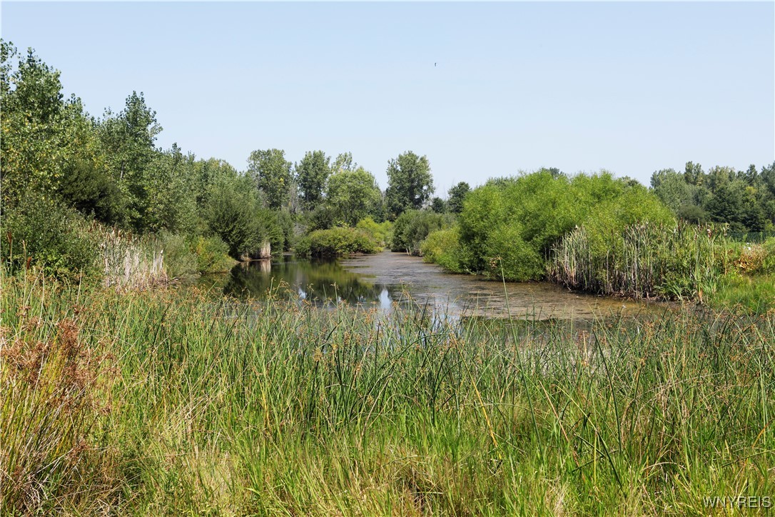 Wilson Cambria Road Wilson, NY 14172 - Photo 20 of 28 Pond