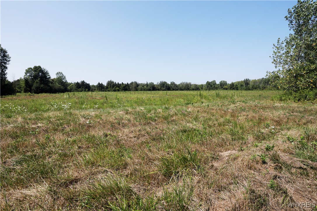 Wilson Cambria Road Wilson, NY 14172 - Photo 22 of 28 Additional 12 acres behind pond