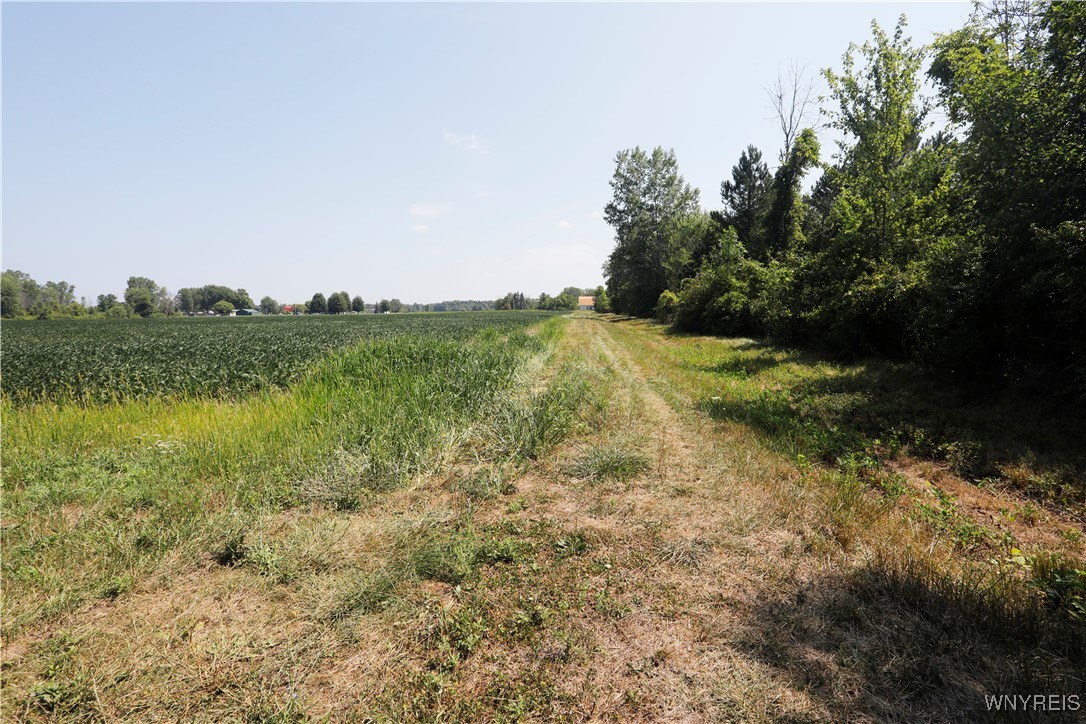 Wilson Cambria Road Wilson, NY 14172 - Photo 23 of 28