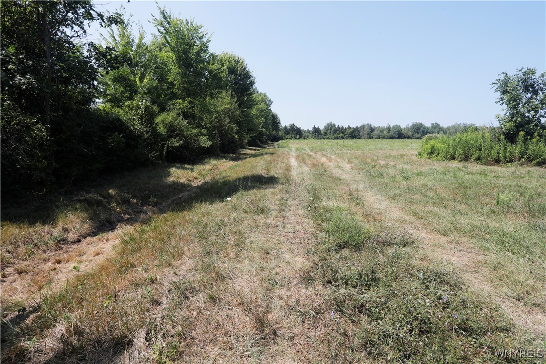 Wilson Cambria Road Wilson, NY 14172 - Photo 24 of 28 looking away from 425 at the 12 acres