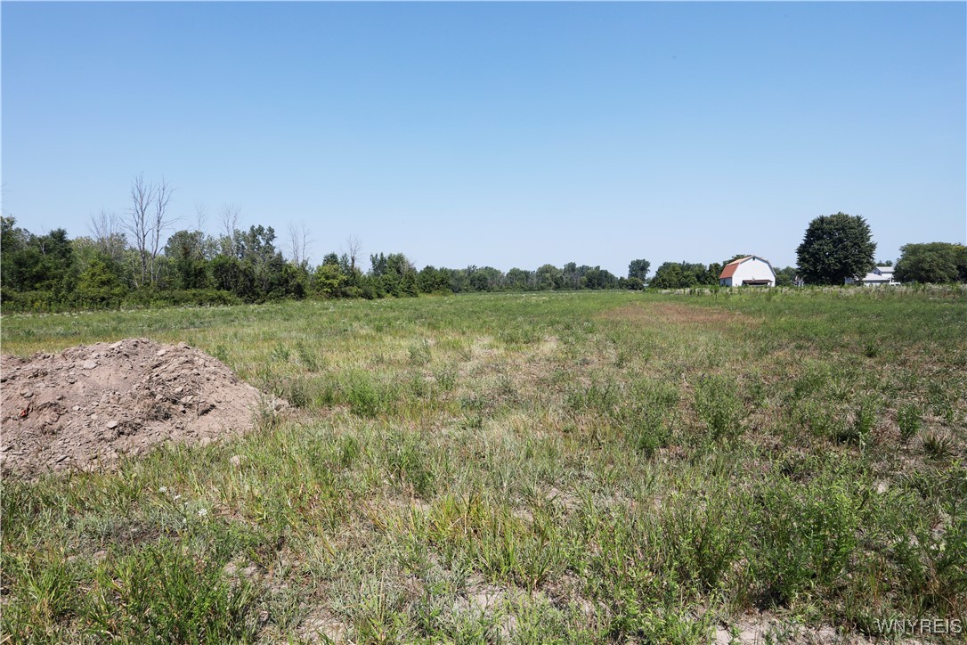 Wilson Cambria Road Wilson, NY 14172 - Photo 5 of 28 Land on Braley is part of this parcel