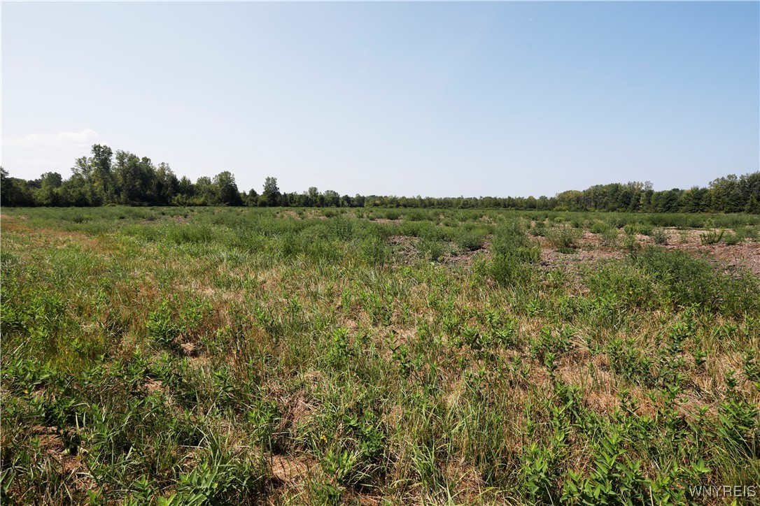 Wilson Cambria Road Wilson, NY 14172 - Photo 10 of 28