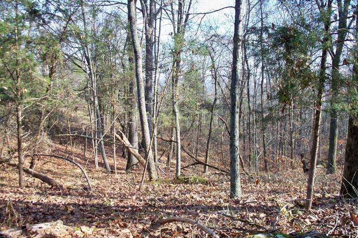 2110 Point Of Rock Road Owenton, KY 40359 - Photo 10 of 16 Gallery Image 10