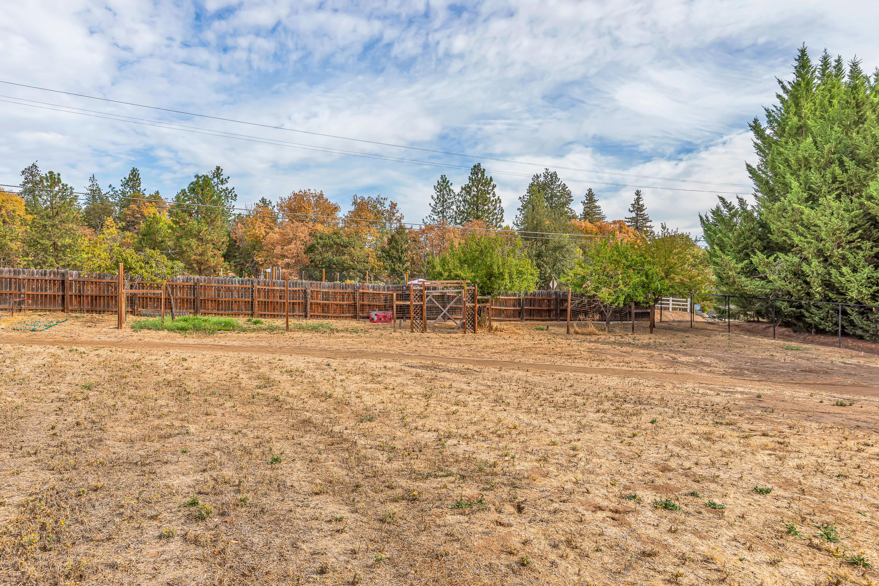 1865 Old Military Road Central Point, OR 97502 - Photo 70 of 77 a view of a field with trees in the background