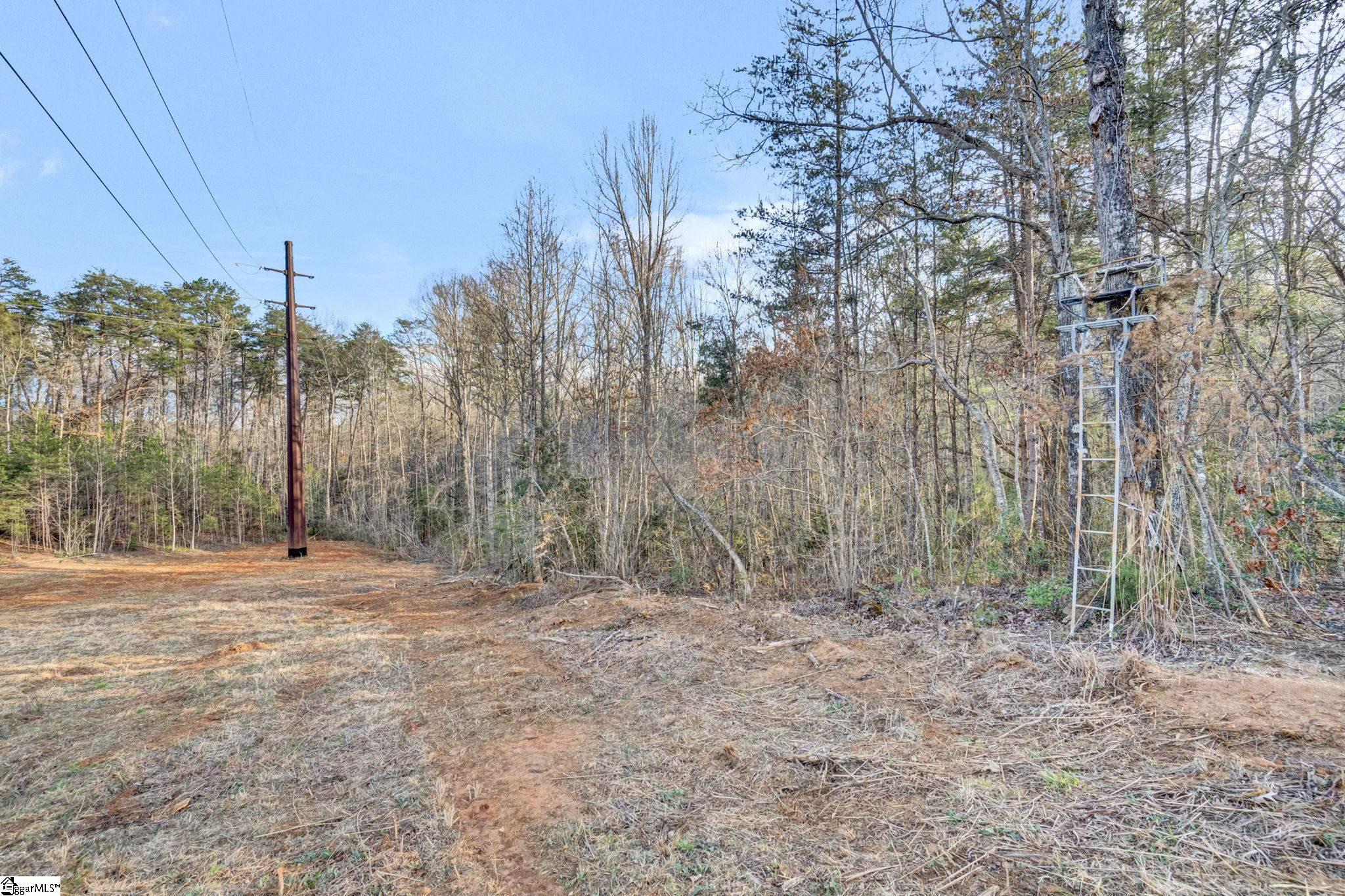 0 Cribbs Way Easley, SC 29640 - Photo 3 of 19