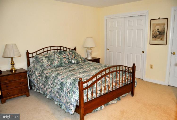 1603 South Arlington Ridge Road Arlington, VA 22202 - Photo 14 of 22 Large secondary bedroom