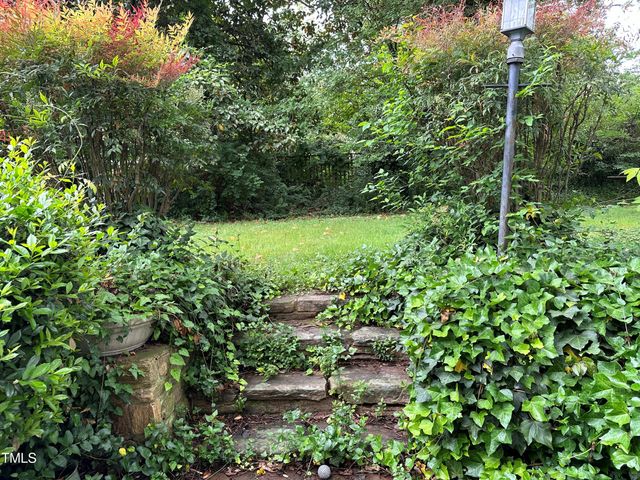 a view of a garden with plants