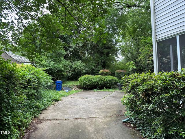 a view of a garden with potted plants and large trees