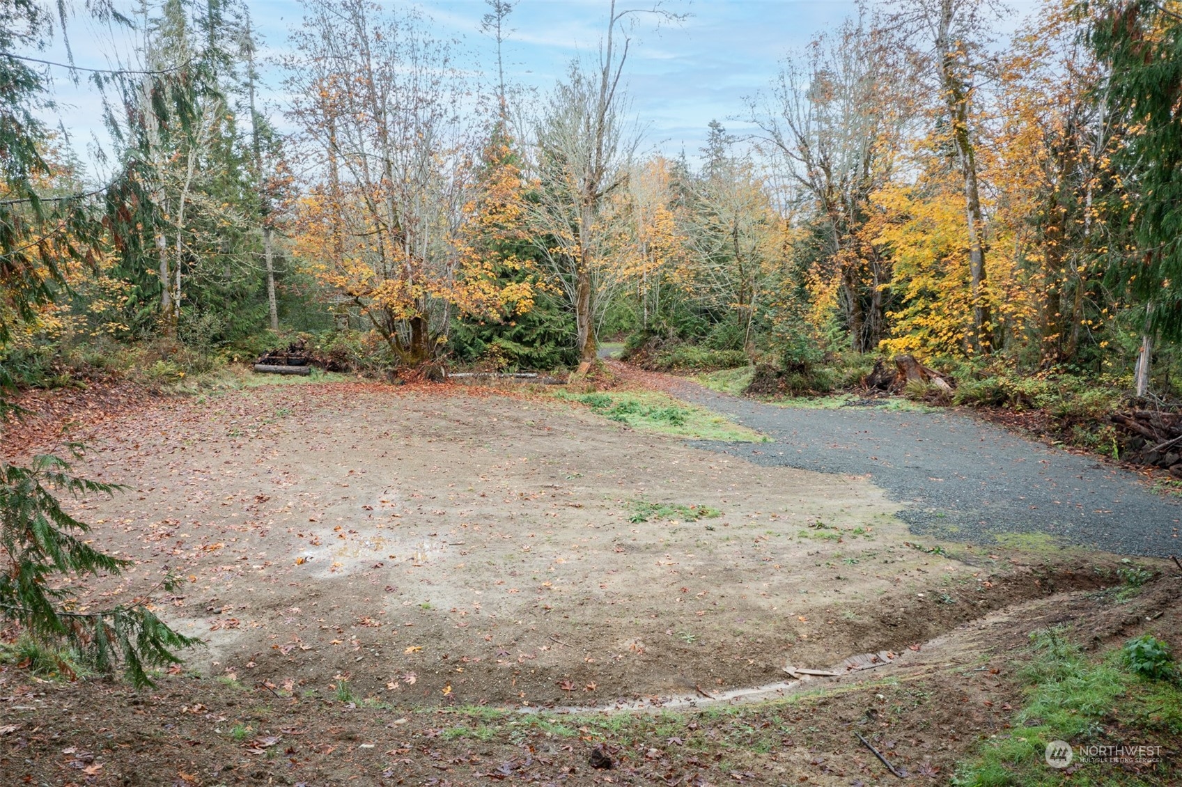 677 Fors Road Port Angeles, WA 98363 - Photo 1 of 40 a view of a dirt road with trees in the background