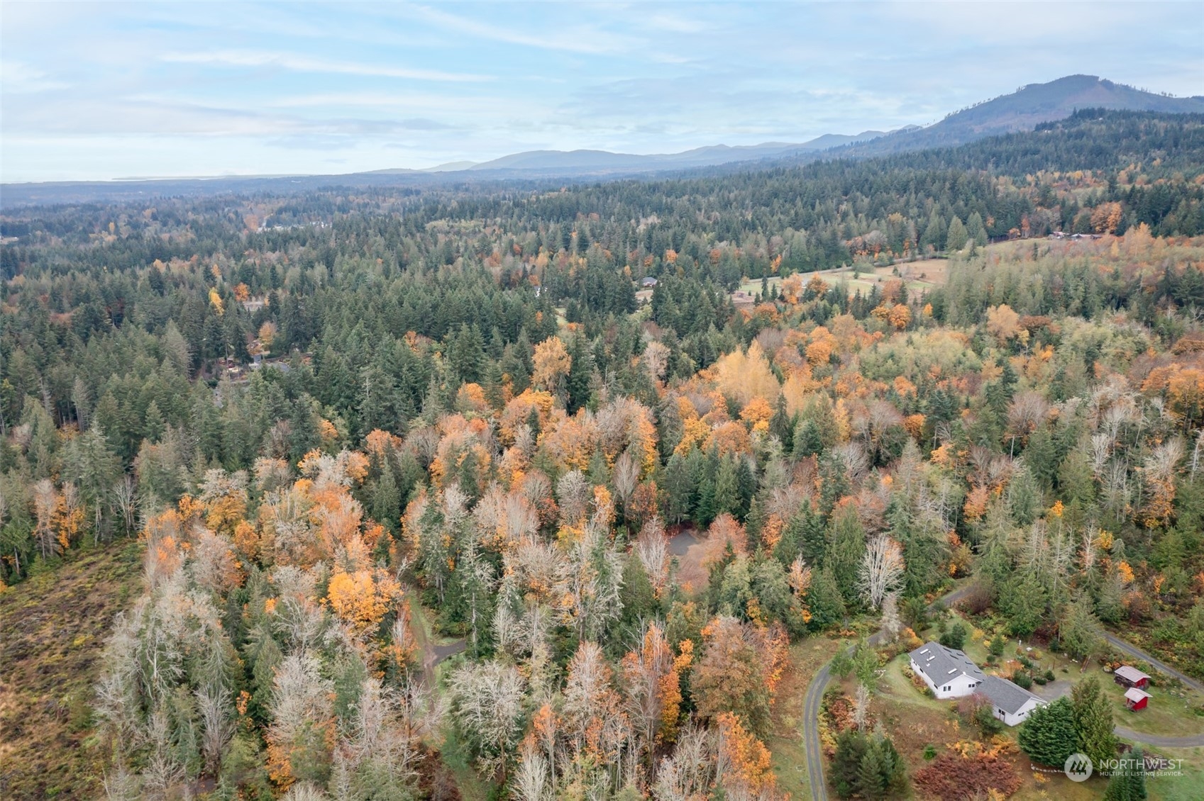 677 Fors Road Port Angeles, WA 98363 - Photo 11 of 40 a view of a city with mountains in the background
