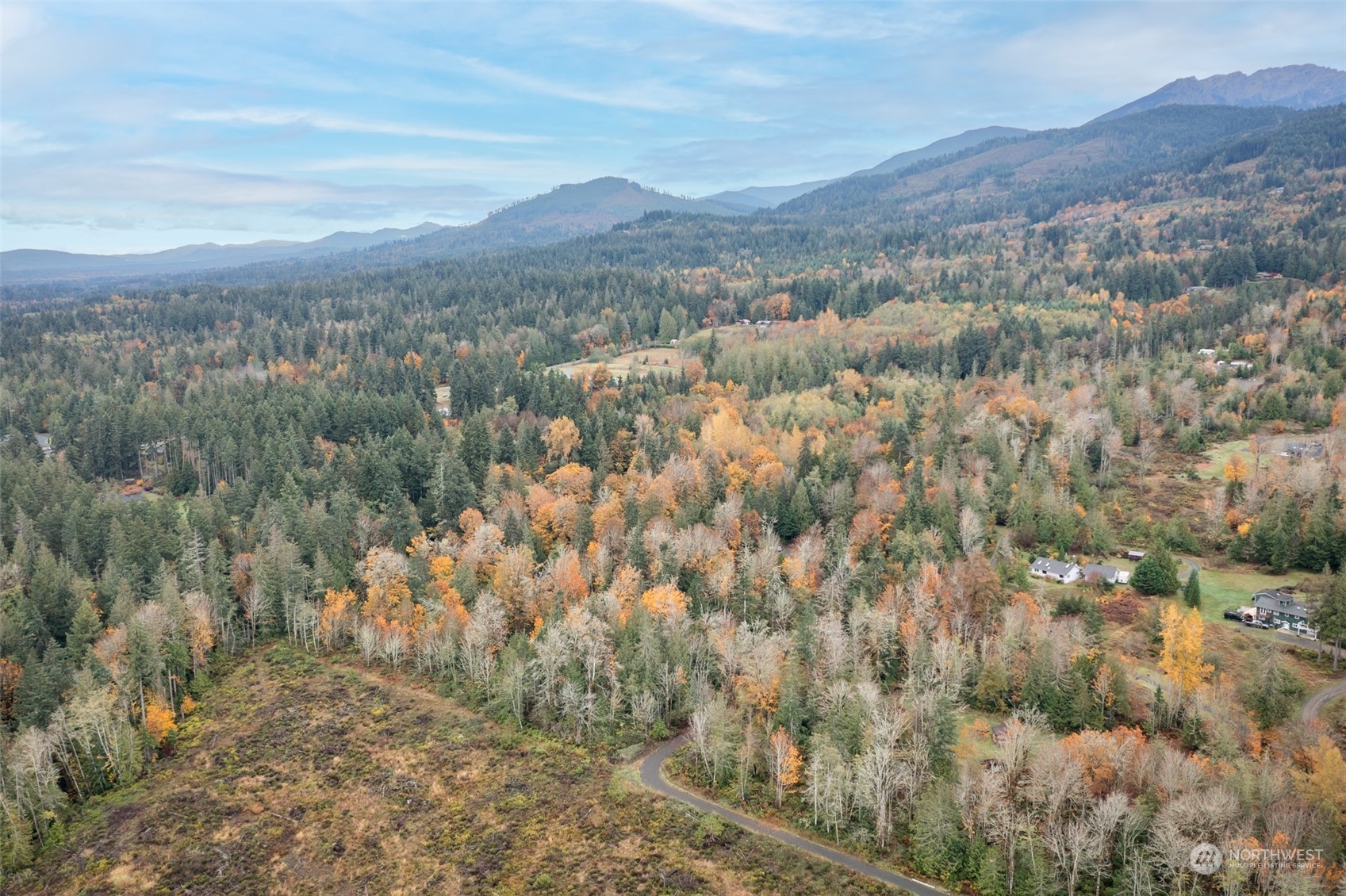 677 Fors Road Port Angeles, WA 98363 - Photo 13 of 40 a view of mountain view with lots of trees
