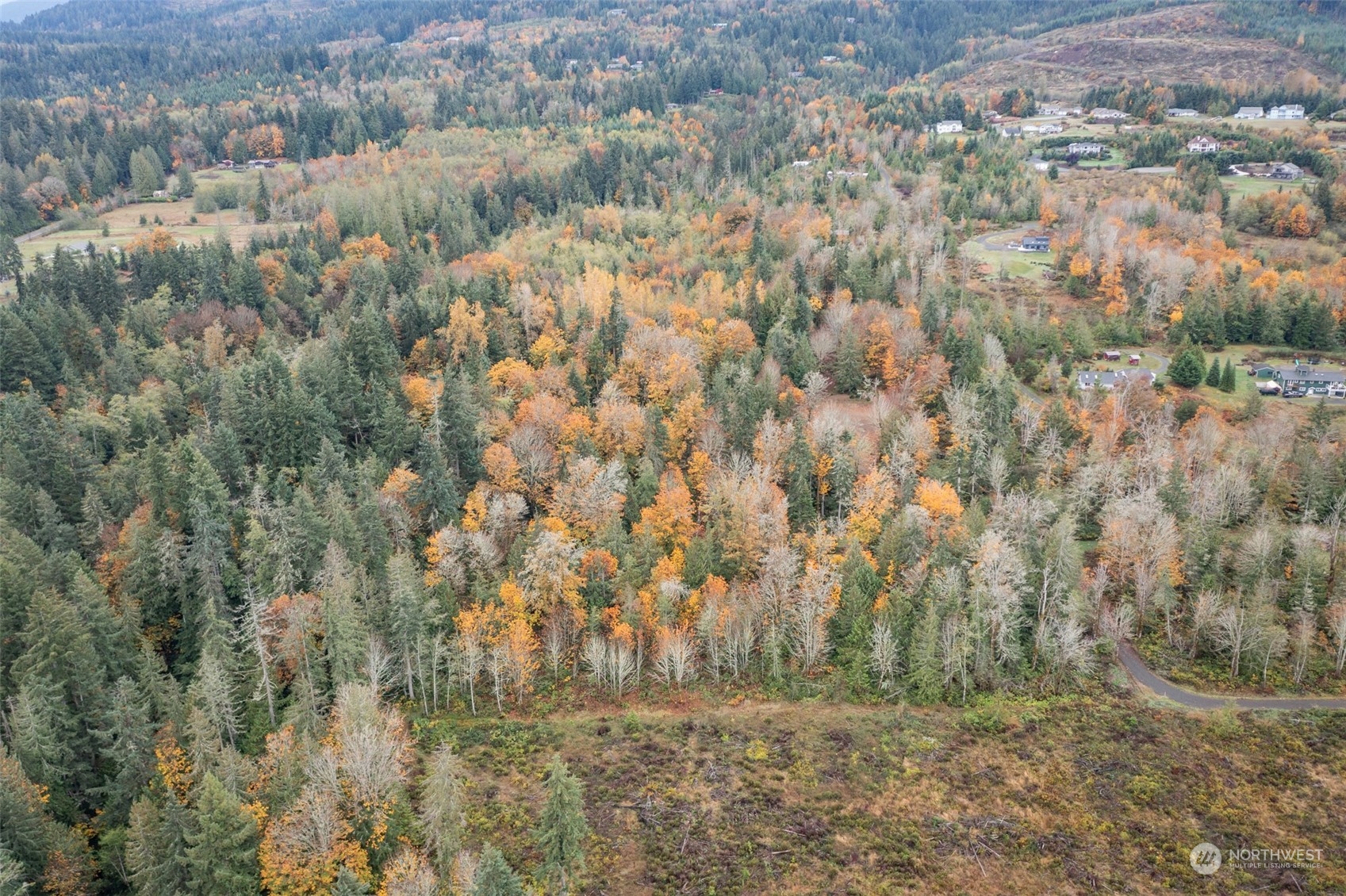 677 Fors Road Port Angeles, WA 98363 - Photo 14 of 40 a view of backyard with green space