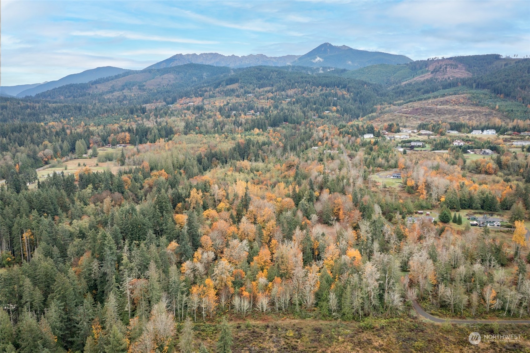 677 Fors Road Port Angeles, WA 98363 - Photo 15 of 40 a view of a town with mountains in the background