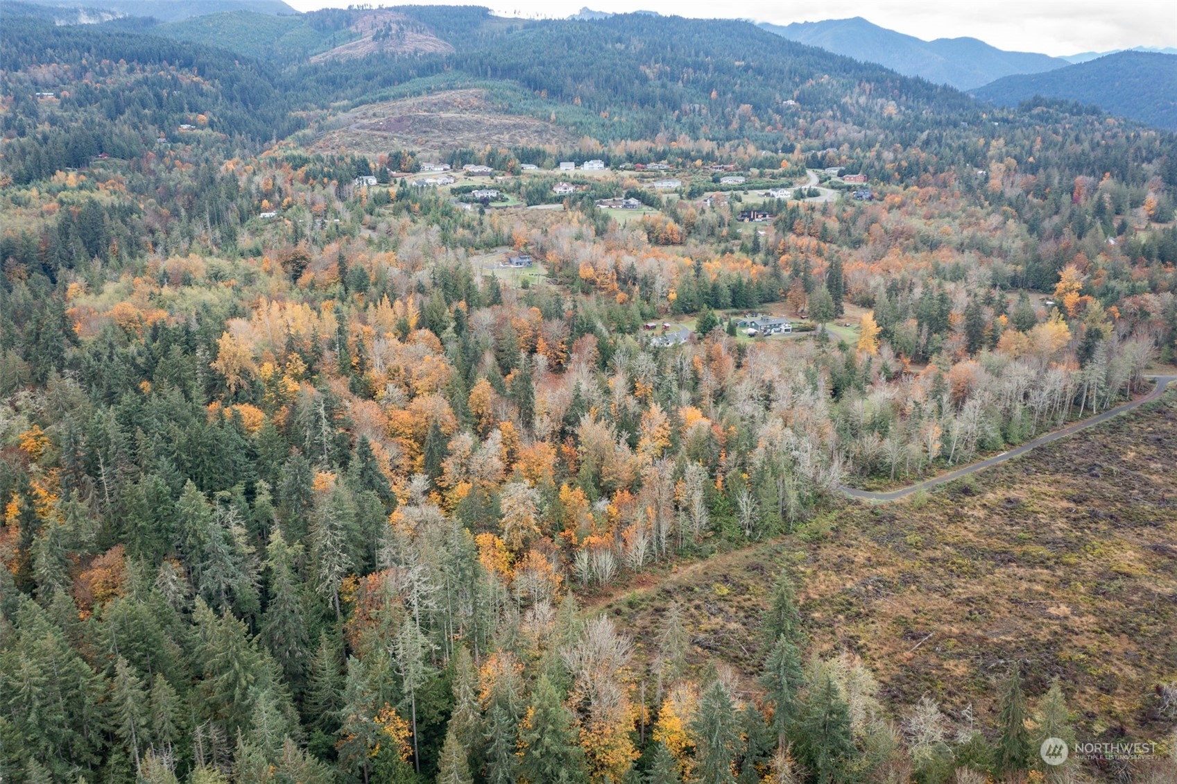 677 Fors Road Port Angeles, WA 98363 - Photo 16 of 40 a view of a forest with mountains and valleys